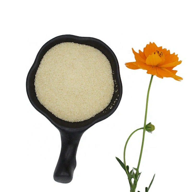 2024 hot sale food grade beef gelatin powder halal grade gelatin price
